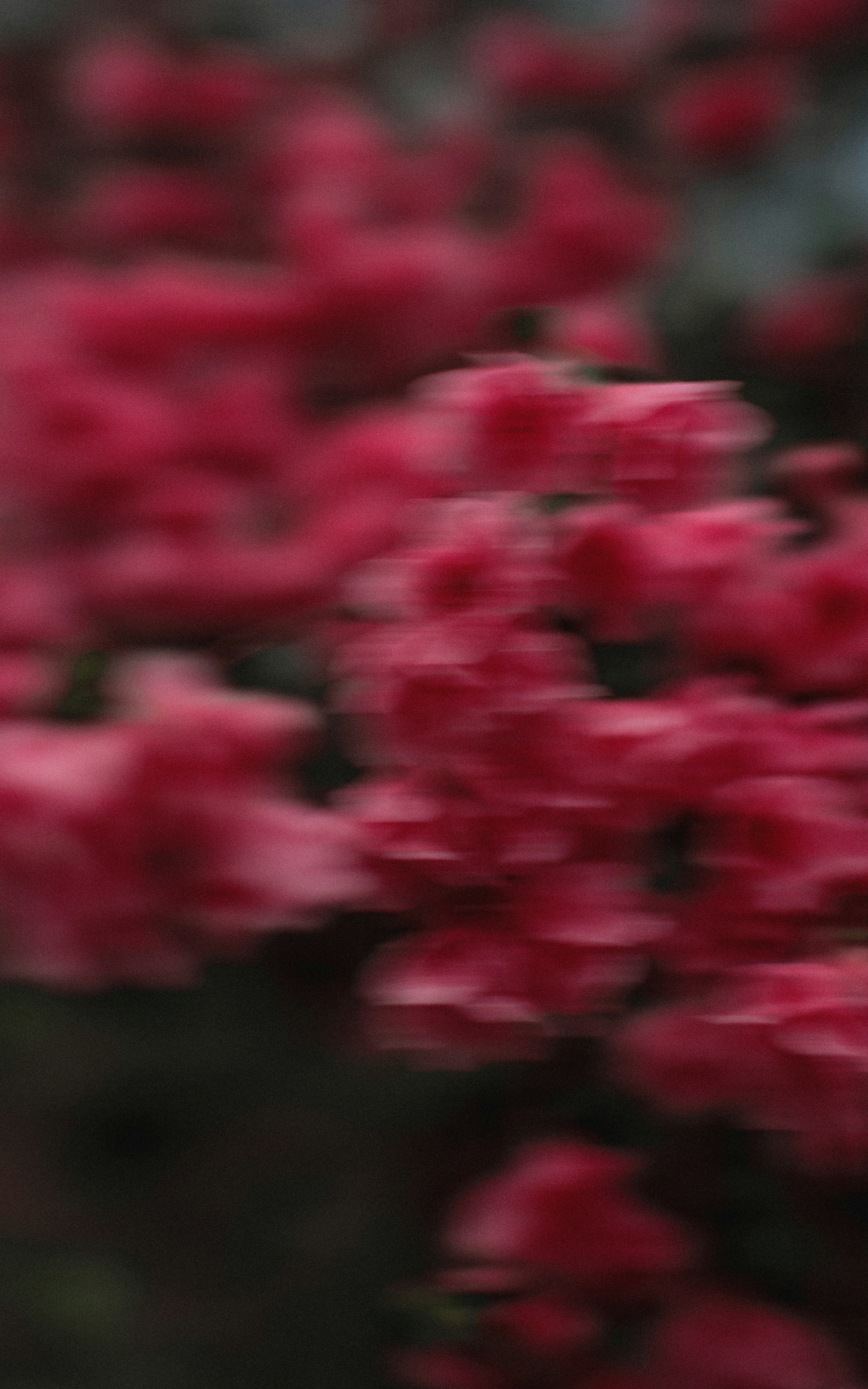 Image by Bennie Bates