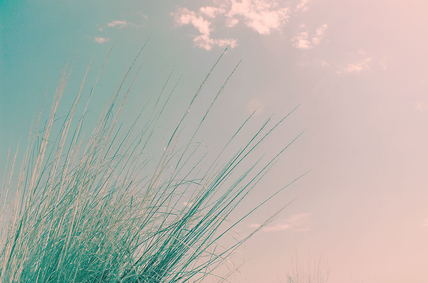 Image by Mitul Grover