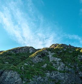 Image de la capitale de Wellington