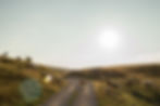 Hills and Upland Project - Newcastle