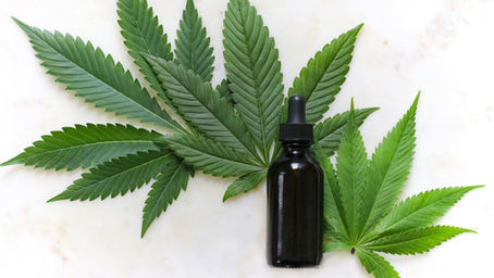 CANNABIS ET COSMÉTIQUE : LE COMBO PARFAIT