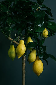 Image by Ildar Garifullin