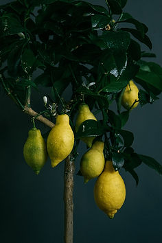 Image by Ildar Garifullin