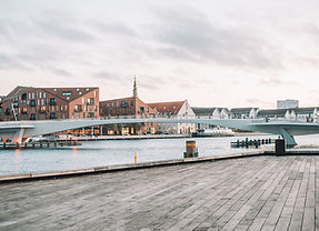 Image by Aurora Ferreira