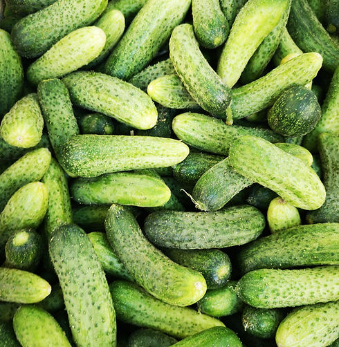 Cucumbers