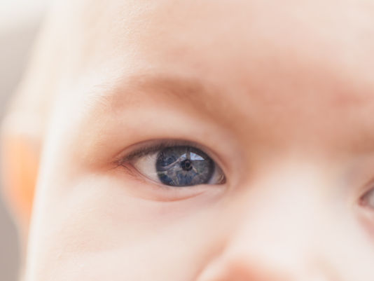 The Soul of a Nation and Abortion