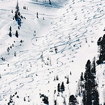 Image by Bence Balla-Schottner