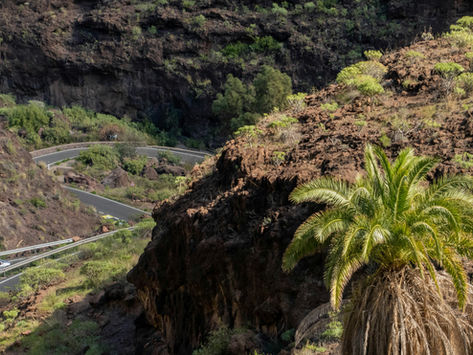 Day trip Casa Gran Canaria - Barranco de Guayadeque
