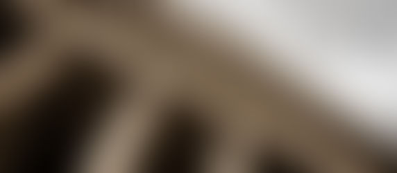 Partsbegrepet – en kort gjennomgang