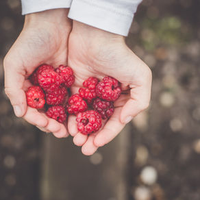 Berries for Fertility