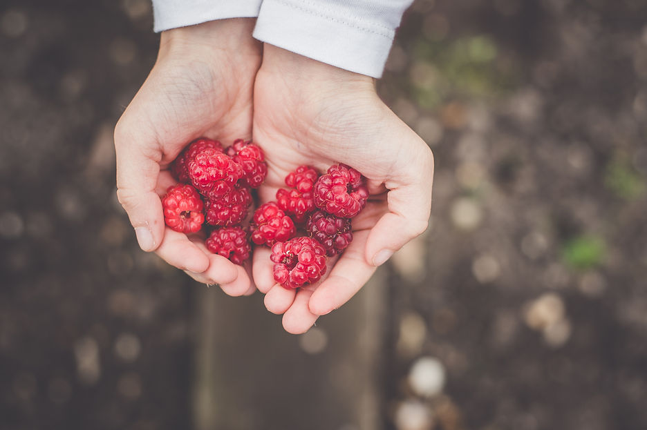 Image by Annie Spratt