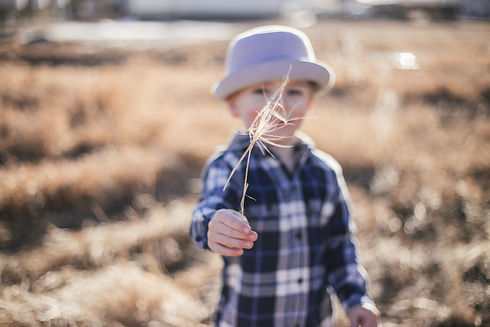 Image by Priscilla Du Preez
