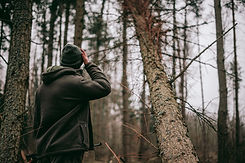 Image by Sebastian Pociecha