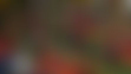 Guatemala vernieuwt imago met duurzaam tienjarenplan