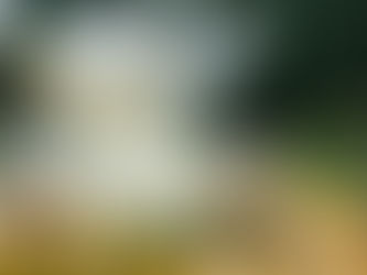 Compassionate Dating