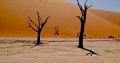 Country Image
