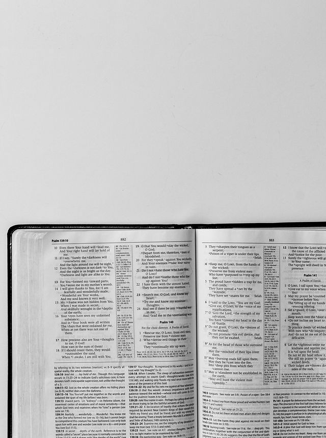 이미지 제공: Sixteen Miles Out