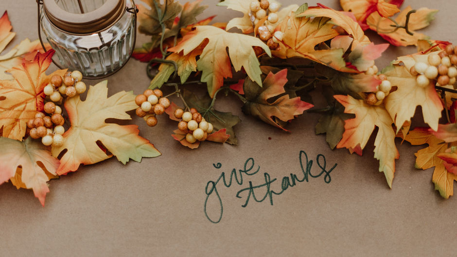 Conversation with My Grandmother, in a Pandemic, Two Weeks Before Thanksgiving by Rosalie Hendon