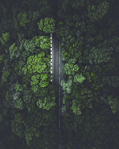 Image by Taneli Lahtinen