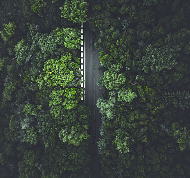 Image by Taneli Lahtinen