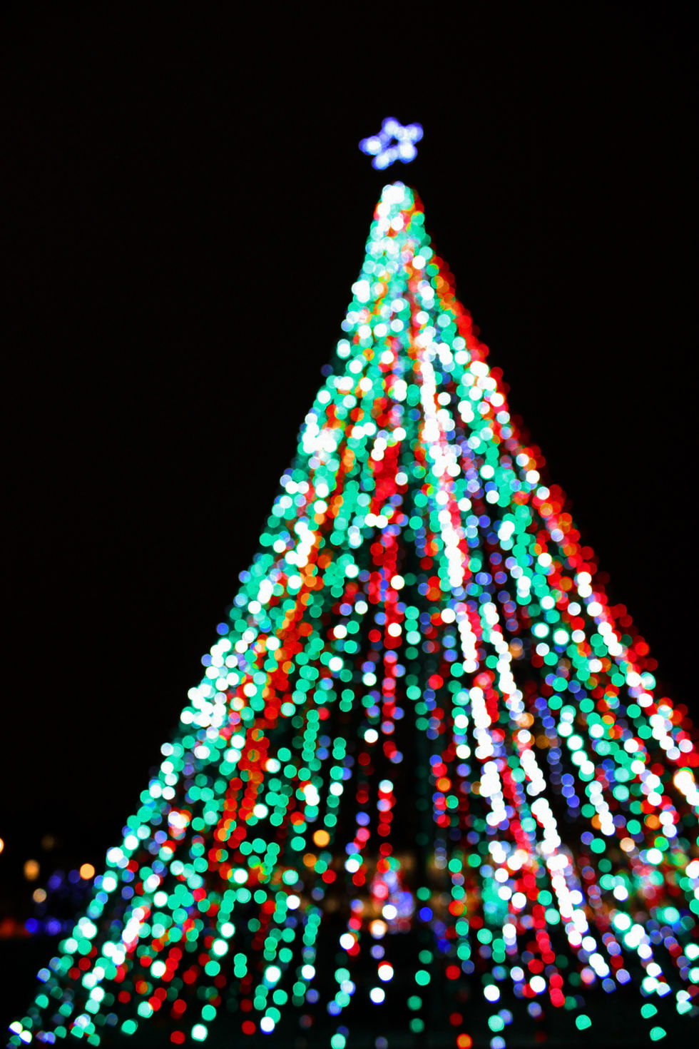 Check out a holiday festival in Lake County Florida this Thanksgiving weekend