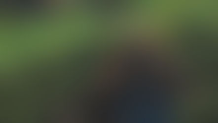 Entretien avec David Engels sur le Seigneur des Anneaux de Tolkien