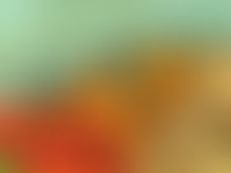 Netherlands Marks 80th Anniversary of Liberation from Nazi Occupation