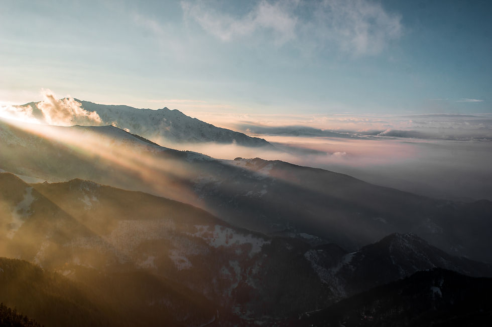 Image by Stefano Bernardo