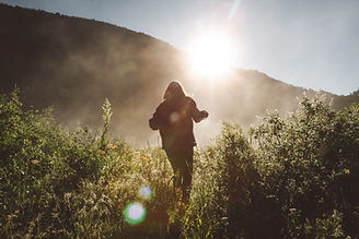 Image by Holly Mandarich