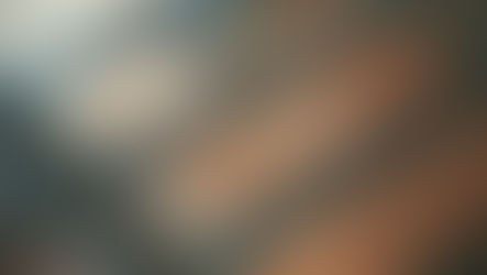 #Copper #XAU new highs #XAG ! / Container rate up #HLAG / Rick Rieder's interview! / SPX500 new highs, very few shorts left, MS's Wilson switches view / Dimon challenges Biden's view on China