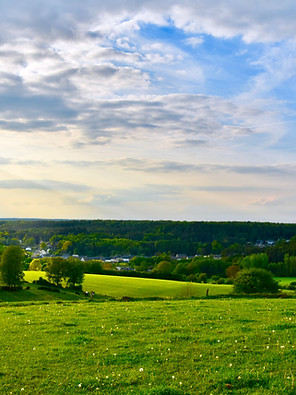 Image by Guillaume Henrotte