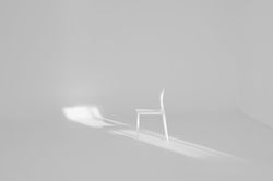 Image by Ellen Qin