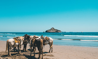 Image by Daniel Apodaca