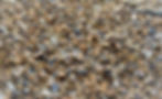 a close up of mulch