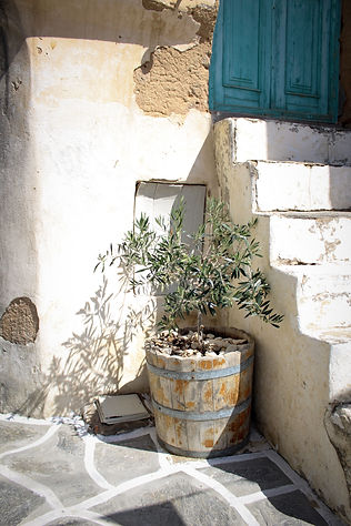 Image by Apostolos Vamvouras