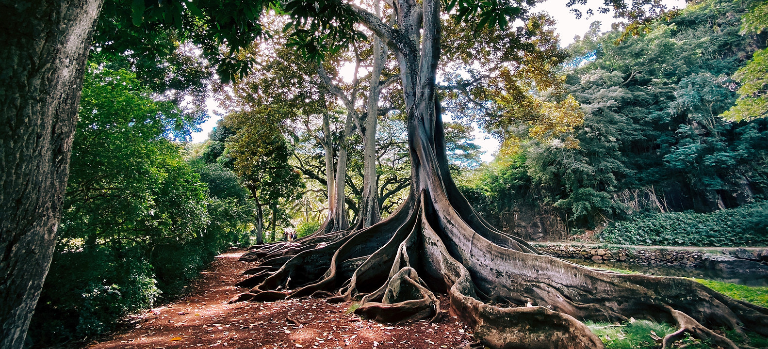 Image by Jason Weingardt