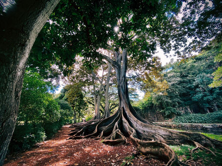 Navigating Uncertainty: Overcoming Fear and Embracing Growth as a Giant
