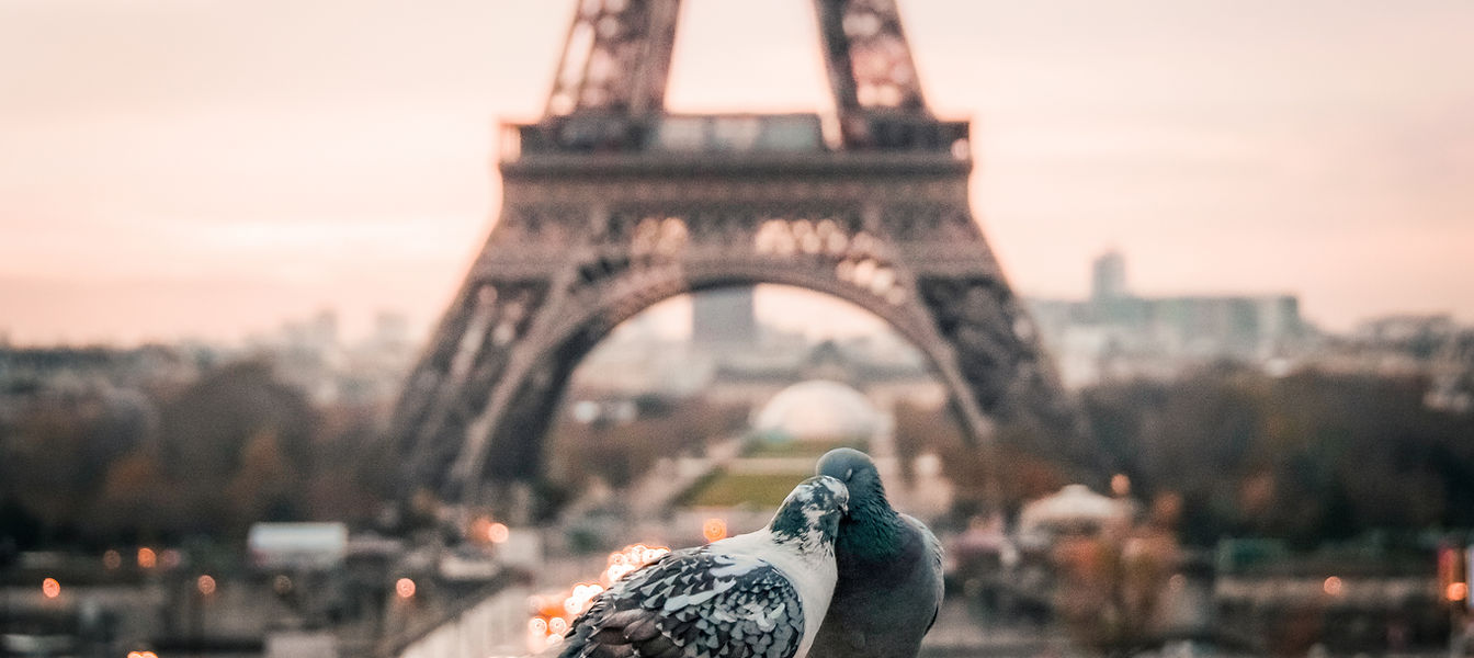 Image by Fabrizio Verrecchia