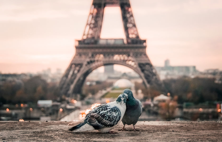 Image by Fabrizio Verrecchia