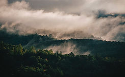 Image by Nik Shuliahin