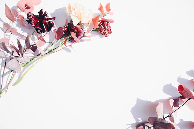 Image by Evie S.