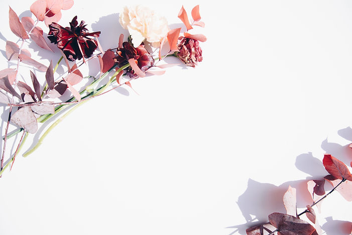 Image by Evie S.