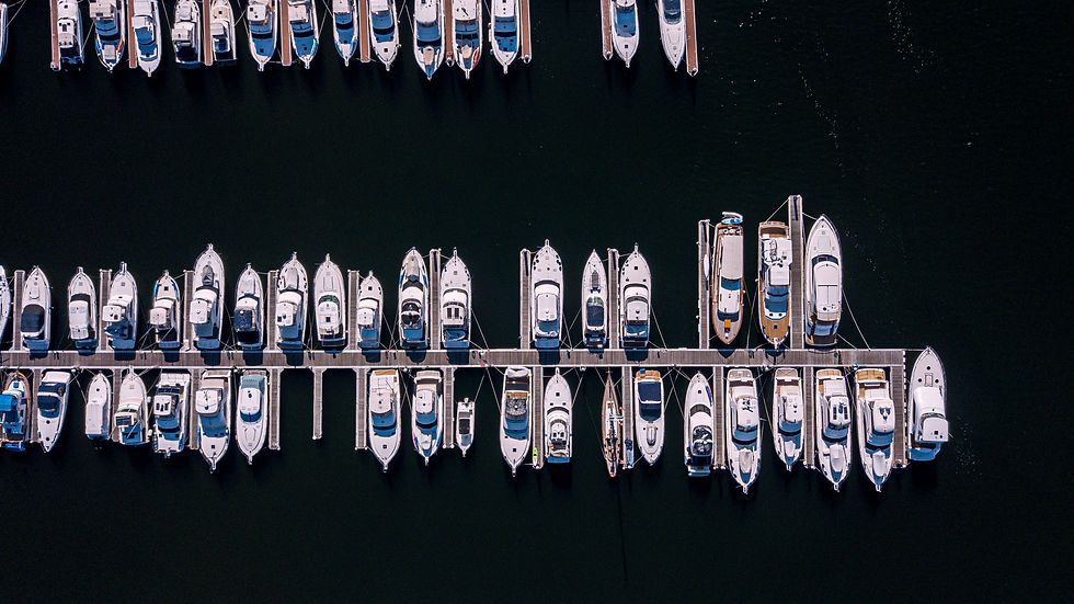 Image by Nathan Hurst