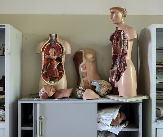 Image by Gareth Hubbard