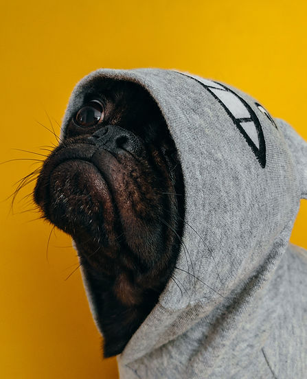 Image by charlesdeluvio