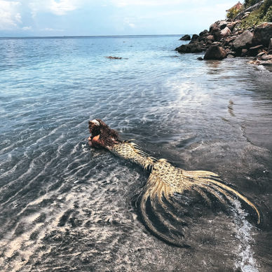 What Is A Professional Mermaid?