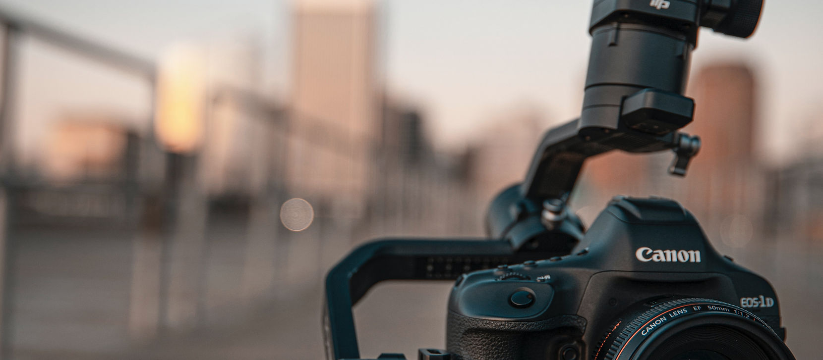 Image by Alexander Jawfox