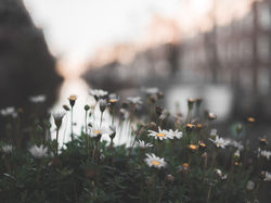 Image by Robin Spielmann