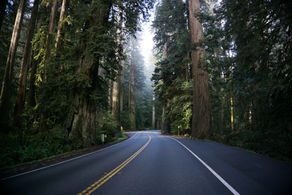 Oregon Scenery