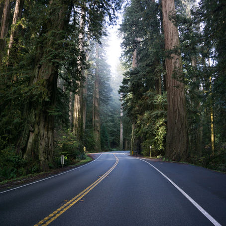 They're on the road.